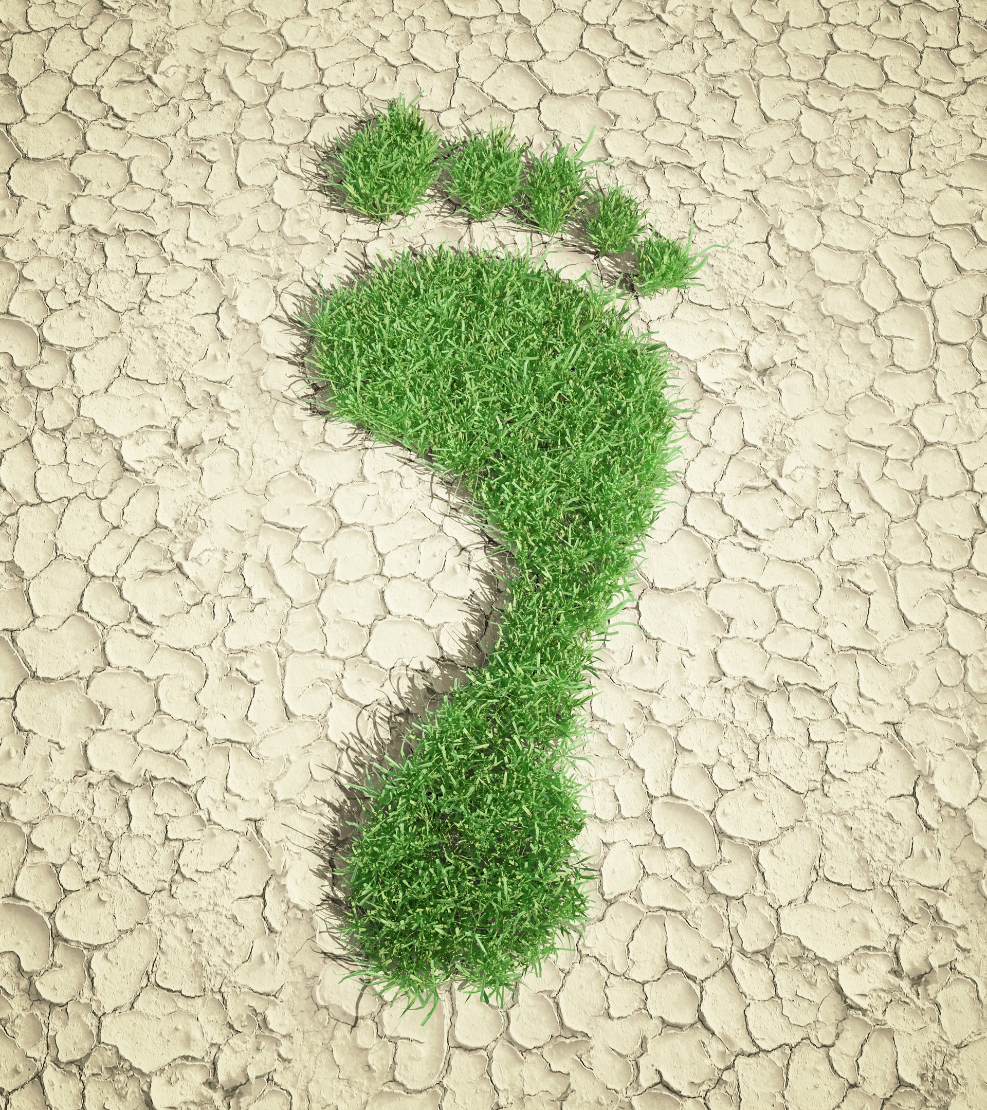 Grass footprint in the dessert sand