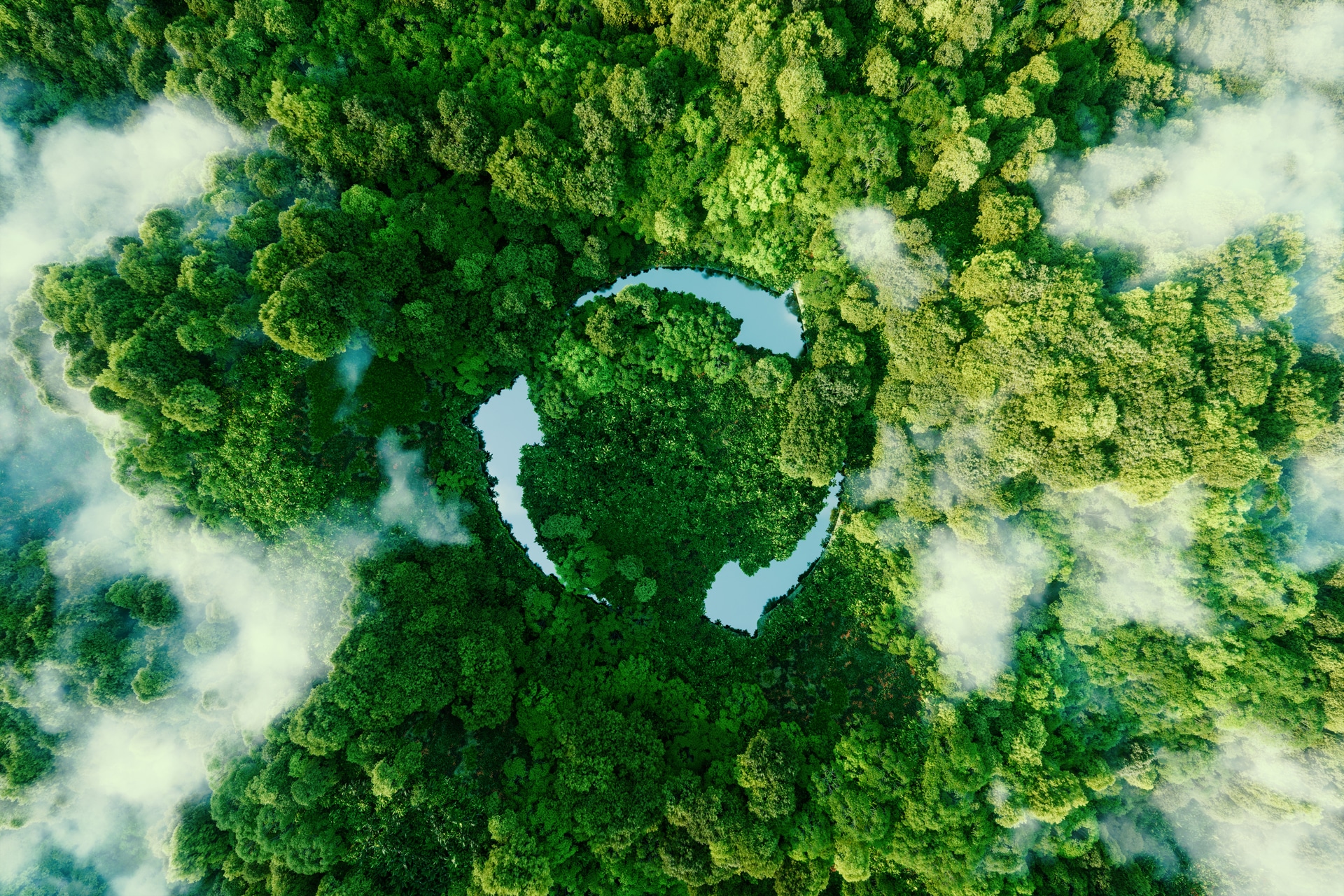 Recycle circle of lakes in a forrest setting